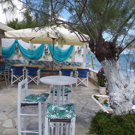 Golden Dolphin & * Alykes (Zakynthos)